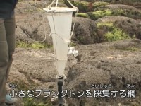 ���ꂪ�v�����N�g���l�b�g