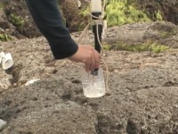 ������v�����N�g������������������������o��