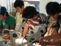 �������Ō��Ă݂�