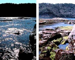 �������@����|�C���g�̕��i