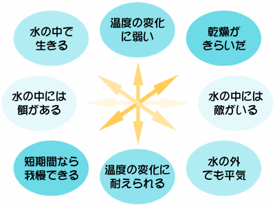 �����ɐ��ނ̂͂Ȃ���