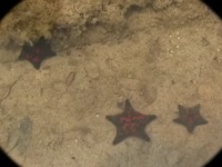 �����̗l�q