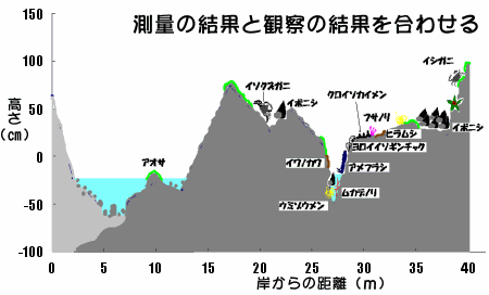 �������̂𑫂��Ă݂悤