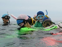 �X�m�[�P�����O