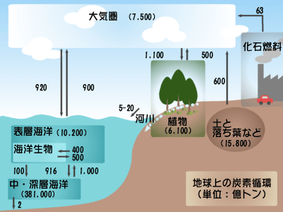 ��_���Y�f�̏z��