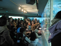 �����ق̃L�[�p�[�Y�g�[�N�C�x���g