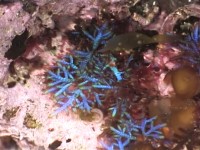 ����͂Ȃ񂾂낤�H