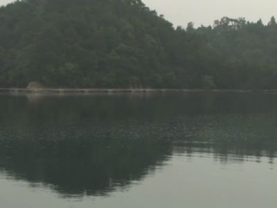 �����I�ɖA���������悤�ɂȂ��Ă���