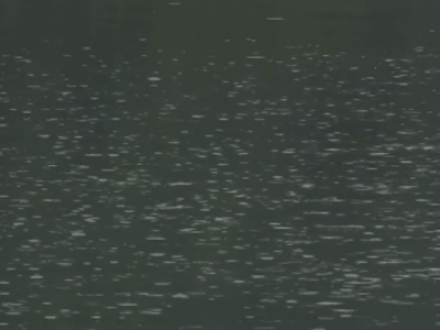 ����͂Ȃ񂾂낤�H