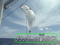 �v�����N�g���̗ʂ��r����