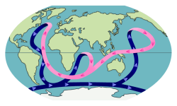 �N���b�N����Ƒ傫�ȉ摜���������