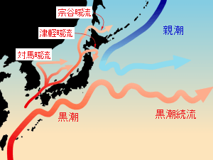 �N���b�N����Ƒ傫�ȉ摜���������