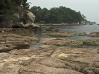 ��ɍs���Ă݂悤