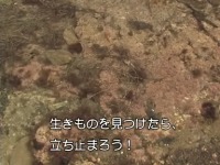 �������̂���������