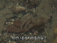 �����ɂ�����