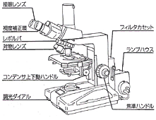 生物顕微鏡