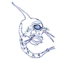 �^�C�����K�U�~�̃]�G�A