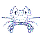 �^�C�����K�U�~�̒t�K�j