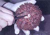 �������������o��