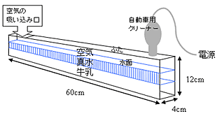 �}�P�@�G���j�[�j����̌��ł��鐅�� 